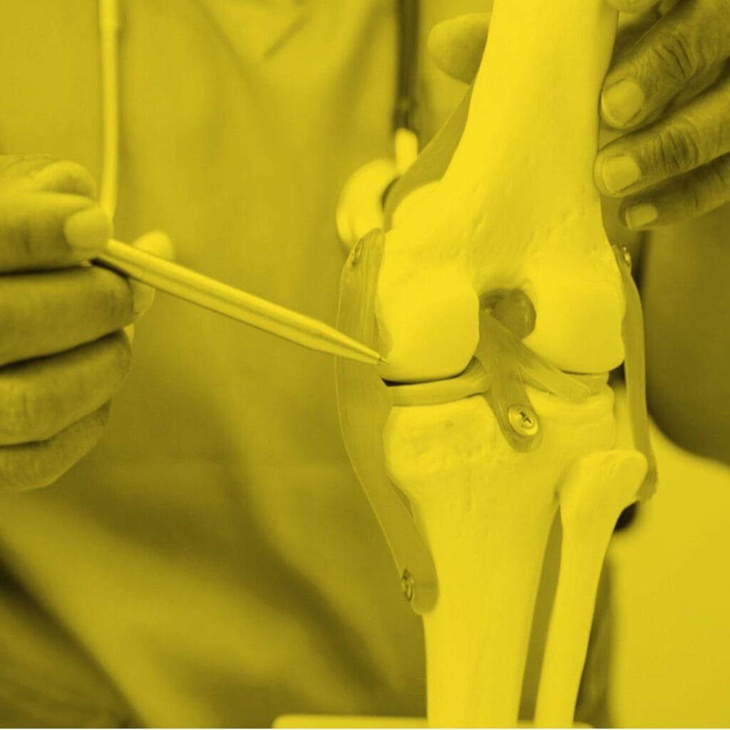 A Guide to Knee Replacement Surgery: How It Works and What to Expect